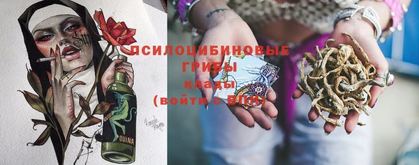круглые Аркадак