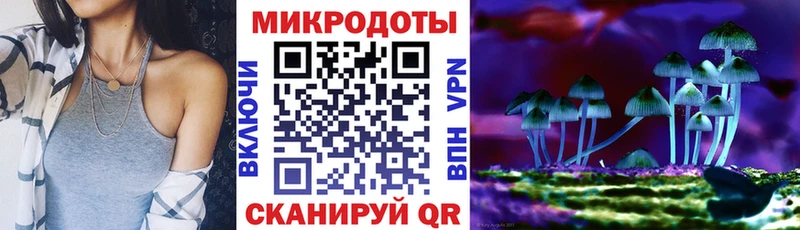 даркнет клад  Таштагол  Псилоцибиновые грибы Cubensis 