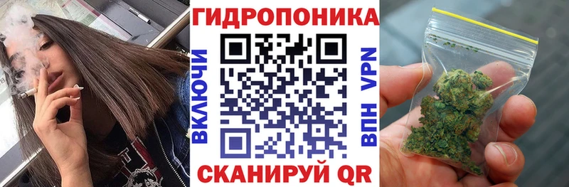 Бошки Шишки OG Kush  закладки  маркетплейс формула  Таштагол 